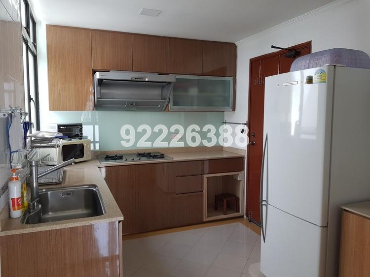 Parc Palais (D21), Condominium #169365652